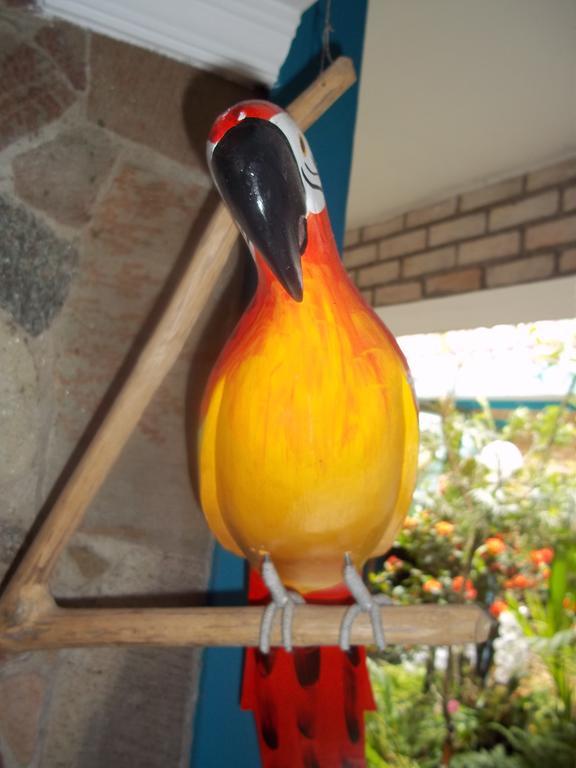 Pousada Riacho Doce Caraguatatuba Rum bild